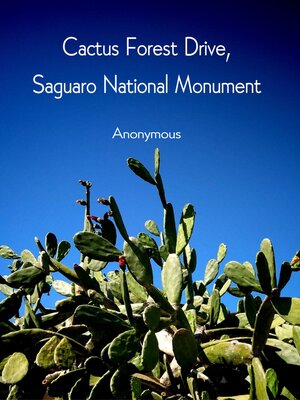 cover image of Cactus Forest Drive, Saguaro National Monument